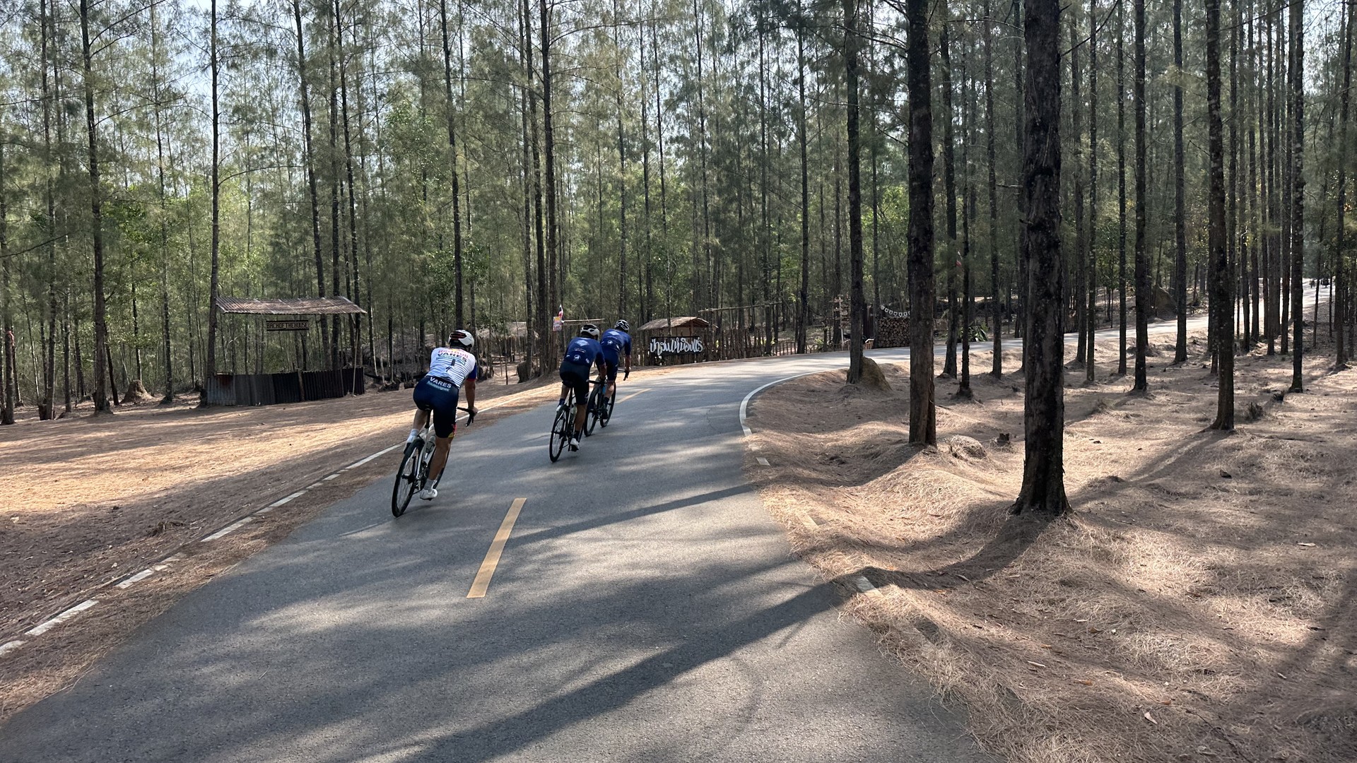 Coastal cycling