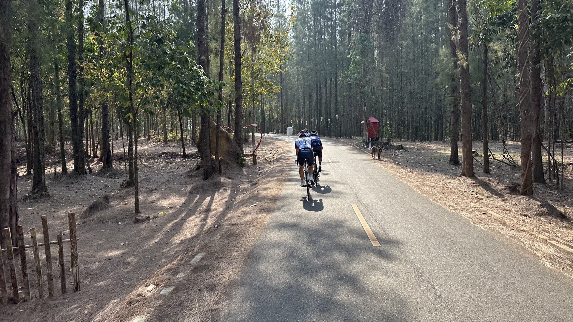 Cycling morning ride