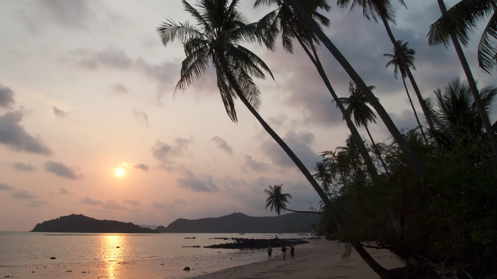 Coucher de soleil à travers les palmiers sur la côte