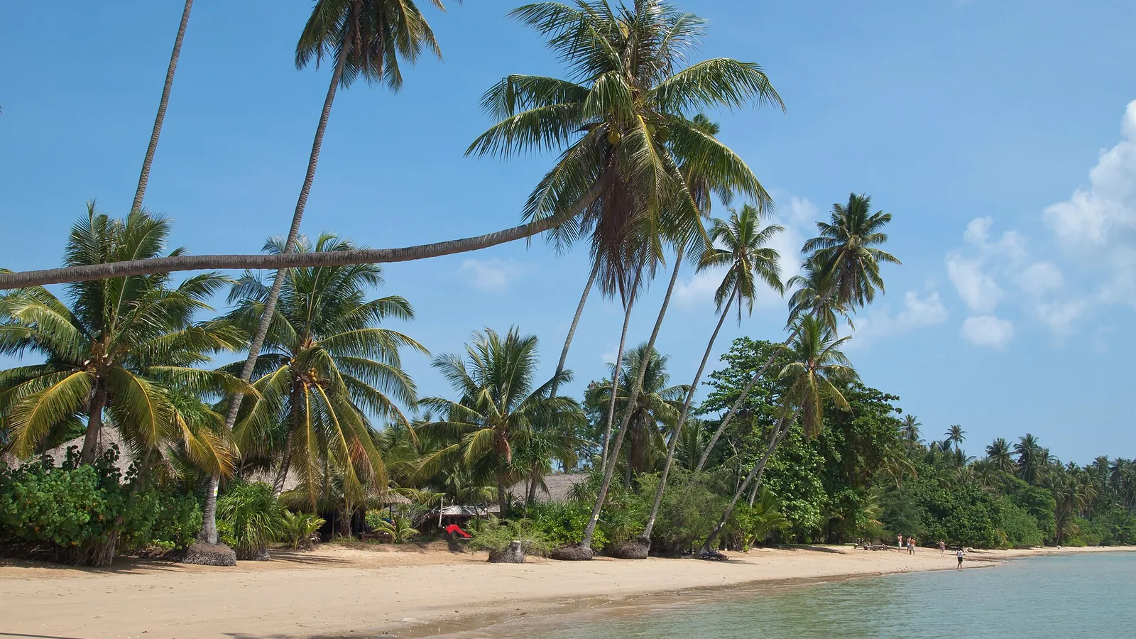 Palmuja Koh Makin rannalla